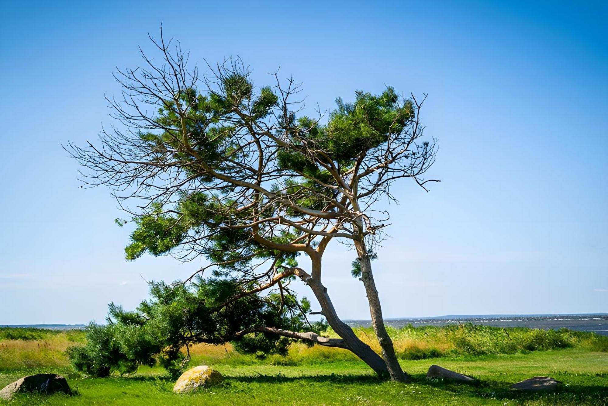 Hotel Ruegenschmiede Vis A Vis Hiddensee Schaprode Zewnętrze zdjęcie